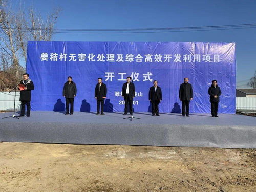 太保莊街道姜秸稈無害化處理及綜合高效開發利用項目開工儀式隆重舉行，開啟農牧業技術開發與服務新篇章